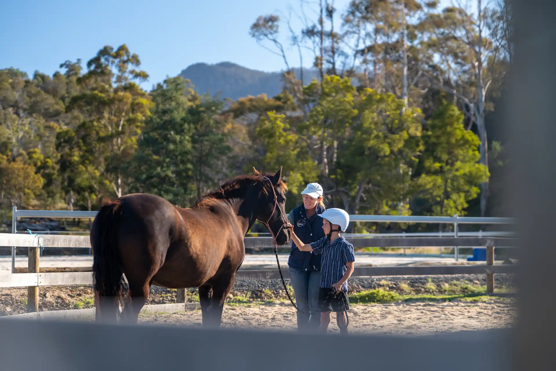 A facilitator and a young participant standing with a dark horse in the arena