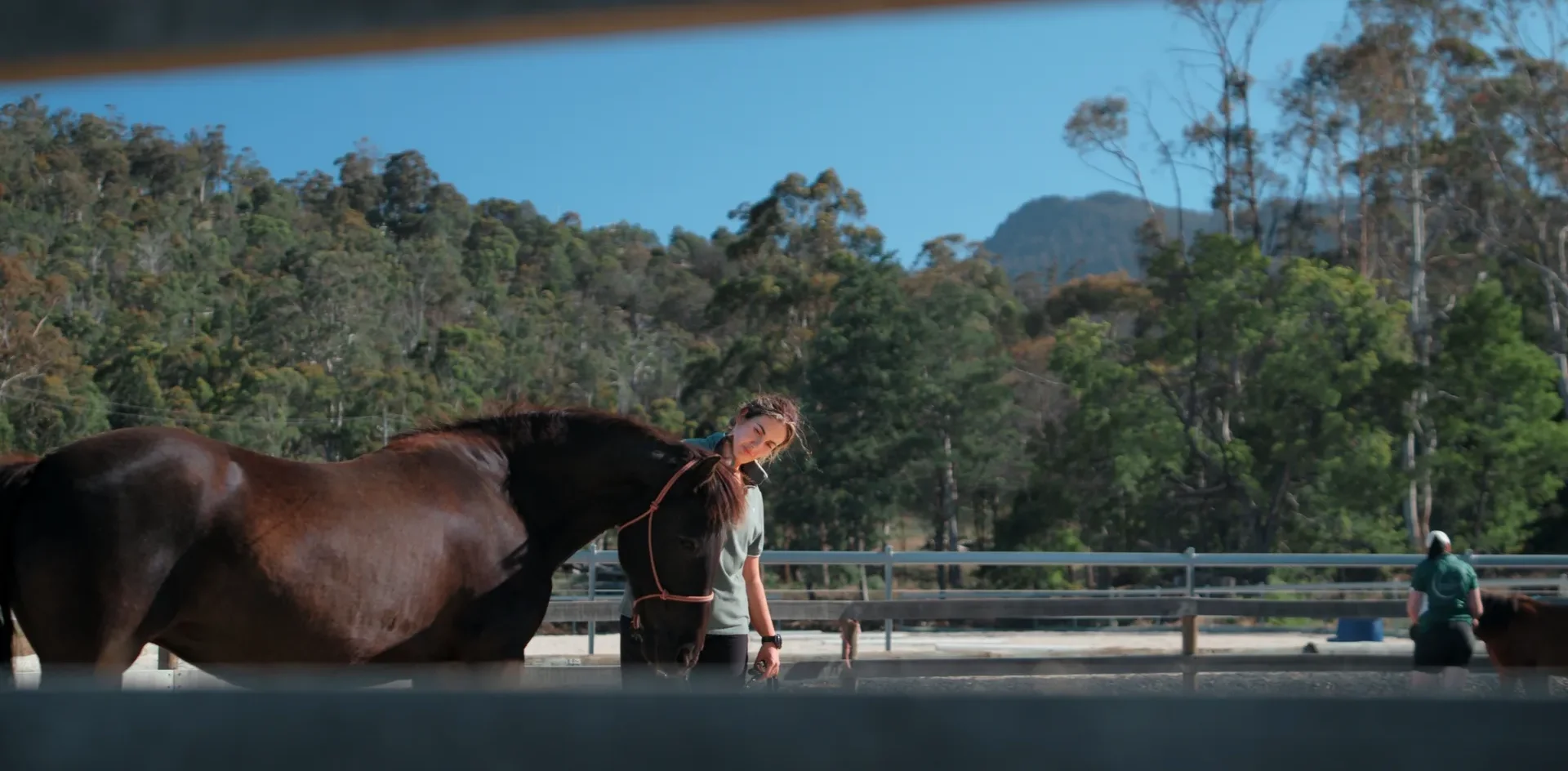 A facilitator walking beside a bay horse in the arena, with bushland behind
